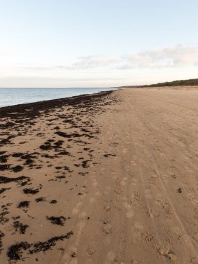 bulutlar ve ıssız dune doğru dalgalar ile sonbaharda Baltık beach