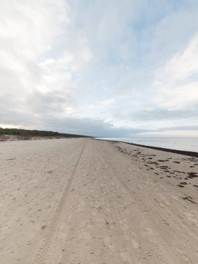 bulutlar ve ıssız dune doğru dalgalar ile sonbaharda Baltık beach