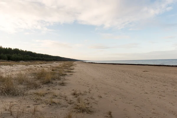 Spiaggia baltica in autunno con nuvole e onde verso dune deserte — Foto Stock