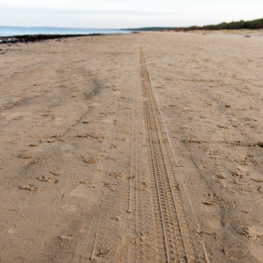 Plajda lastik izleri var.