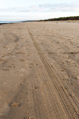 Plajda lastik izleri var.