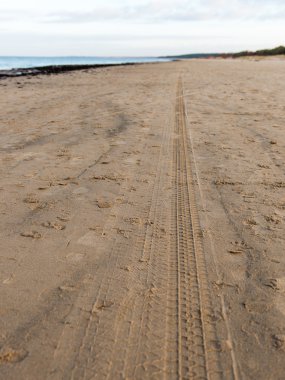 Plajda lastik izleri var.