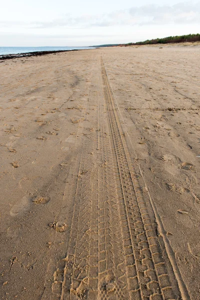 Autobandensporen op het strand zand — Stockfoto