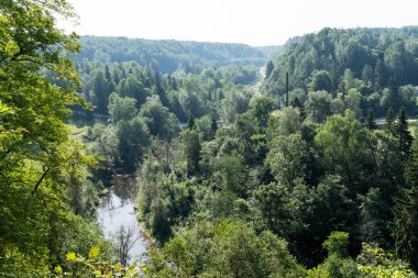 dağ nehir orman tarafından çevrili yaz aylarında