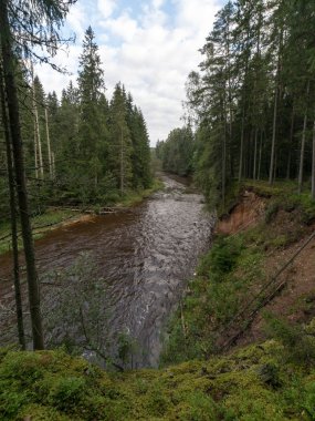 dağ nehir orman tarafından çevrili yaz aylarında