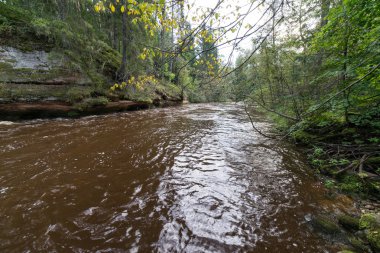 dağ nehir orman tarafından çevrili yaz aylarında