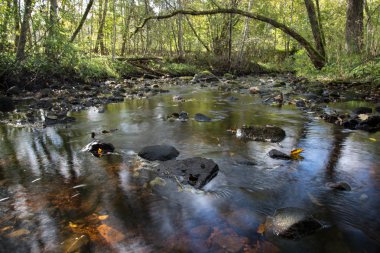 dağ nehir orman tarafından çevrili yaz aylarında