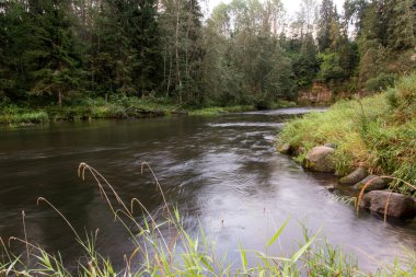 dağ nehir orman tarafından çevrili yaz aylarında