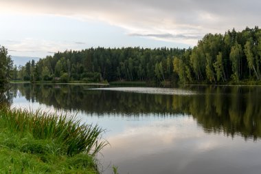 dağ nehir orman tarafından çevrili yaz aylarında