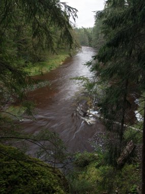 dağ nehir orman tarafından çevrili yaz aylarında