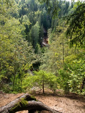 dağ nehir orman tarafından çevrili yaz aylarında