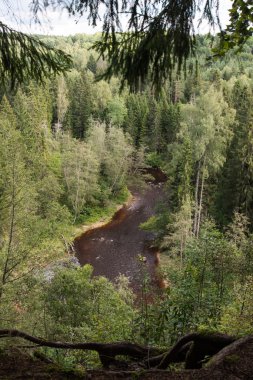 dağ nehir orman tarafından çevrili yaz aylarında