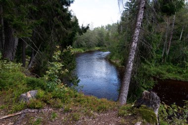 dağ nehir orman tarafından çevrili yaz aylarında