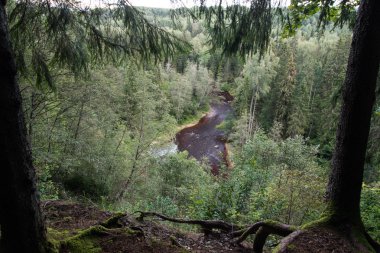 dağ nehir orman tarafından çevrili yaz aylarında