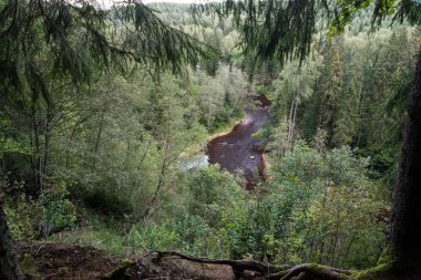 dağ nehir orman tarafından çevrili yaz aylarında