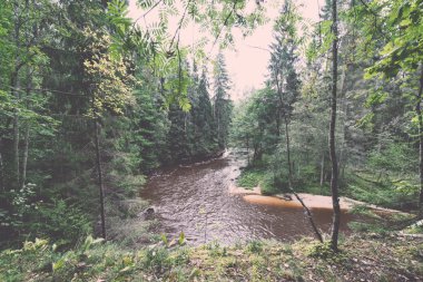 dağ nehir orman - retro vintage çevrili yaz aylarında