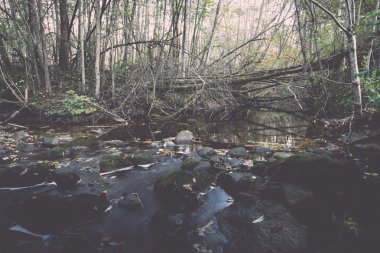 dağ nehir orman - retro vintage çevrili yaz aylarında