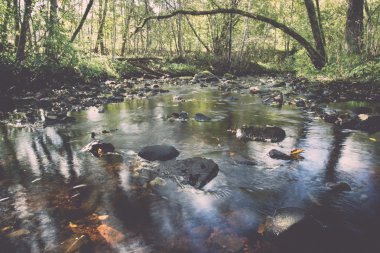 dağ nehir orman - retro vintage çevrili yaz aylarında