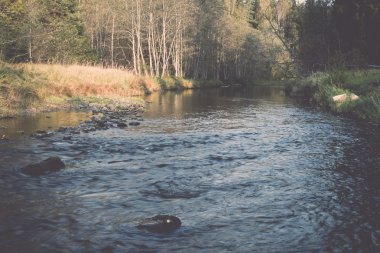 dağ nehir orman - retro vintage çevrili yaz aylarında
