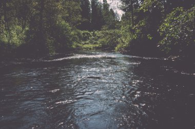 dağ nehir orman - retro vintage çevrili yaz aylarında