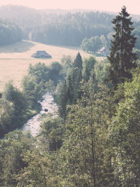 dağ nehir orman - retro vintage çevrili yaz aylarında