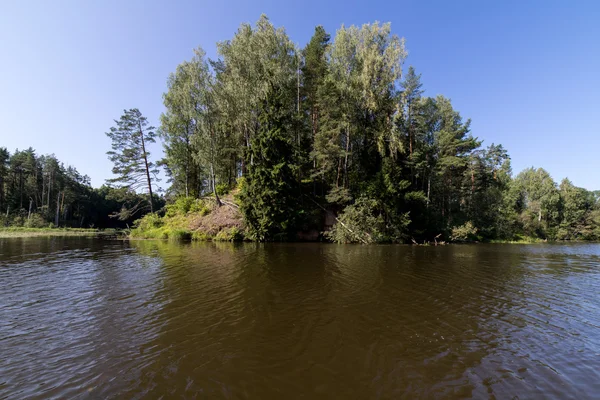 Fiume di montagna in estate circondato dalla foresta — Foto Stock