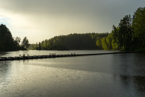 Gebirgsfluss im Sommer umgeben von Wald — Stockfoto