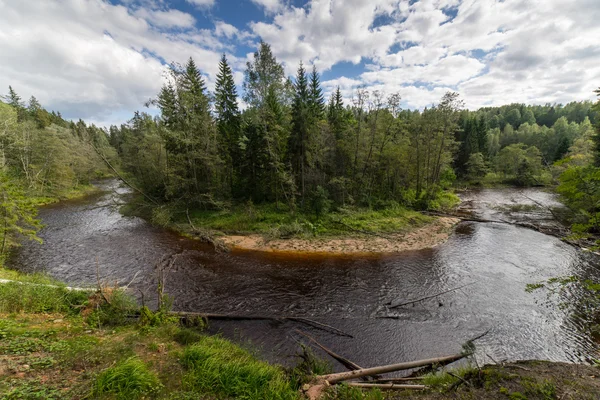 Berg rivier in de zomer omgeven door bos — Stockfoto