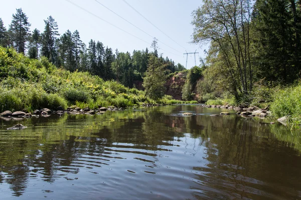 dağ nehir orman tarafından çevrili yaz aylarında