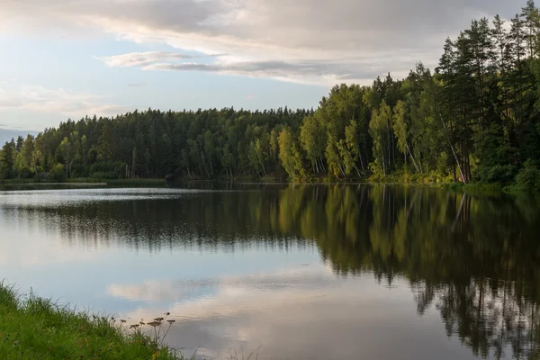 Berg rivier in de zomer omgeven door bos — Stockfoto