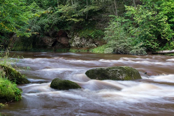 Horská řeka v létě obklopen lesem — Stock fotografie