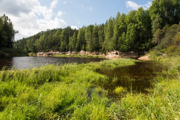 Mountain floden på sommaren omges av skog — Stockfoto