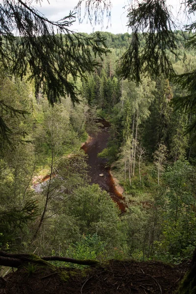 山区河流被森林包围的夏天 — 图库照片