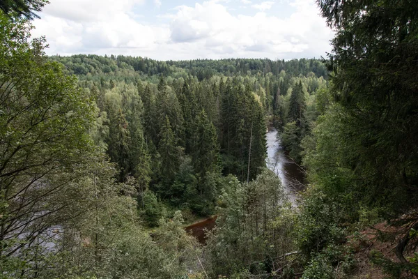 Río de montaña en verano rodeado de bosque —  Fotos de Stock