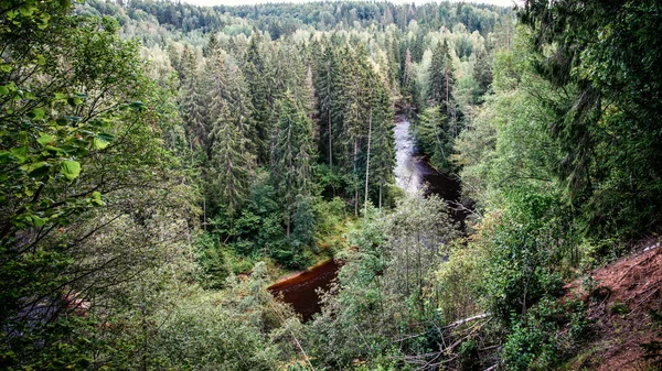 Gebirgsfluss im Sommer umgeben von Wald — Stockfoto