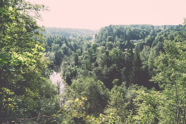 Horská řeka v létě obklopen lesem - vintage retro — Stock fotografie