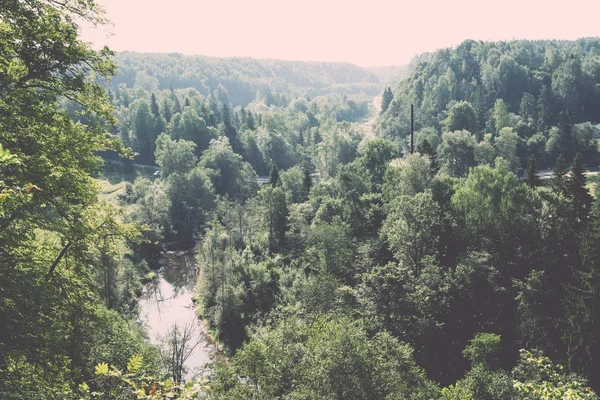 Fiume di montagna in estate circondato da boschi vintage retrò — Foto Stock