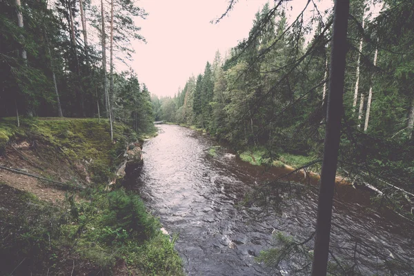 Rivière de montagne en été entouré par la forêt - vintage rétro — Photo