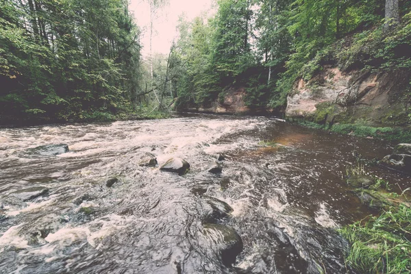 Rivière de montagne en été entouré par la forêt - vintage rétro — Photo