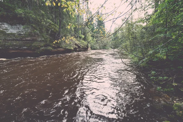 Rivière de montagne en été entouré par la forêt - vintage rétro — Photo