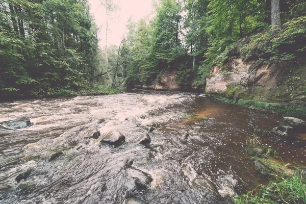 Rio de montanha no verão cercado por floresta - vintage retro — Fotografia de Stock