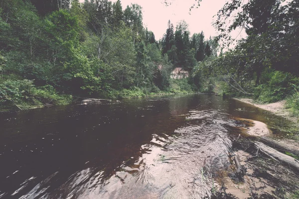 Gebirgsfluss im Sommer umgeben von Wald - Vintage-Retro — Stockfoto