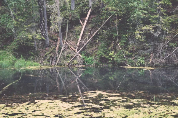 Río de montaña en verano rodeado de bosque - vintage retro — Foto de Stock