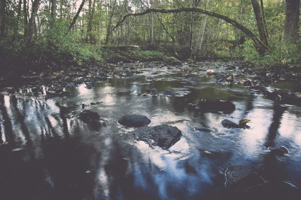 Mountain river in summer surrounded by forest - vintage retro — Stock Photo, Image