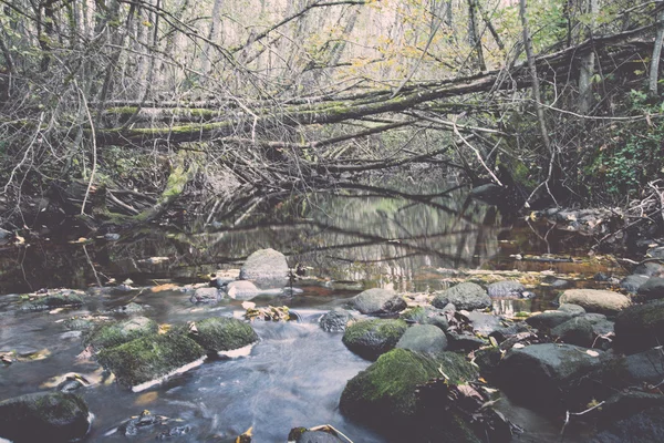 Rivière de montagne en été entouré par la forêt - vintage rétro — Photo