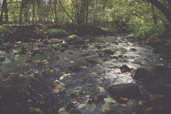 Mountain river in summer surrounded by forest - vintage retro — Stock Photo, Image