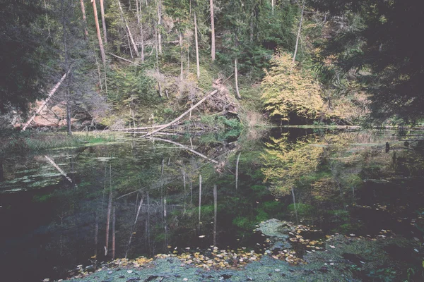 Berg rivier in de zomer omringd door bos - vintage retro — Stockfoto