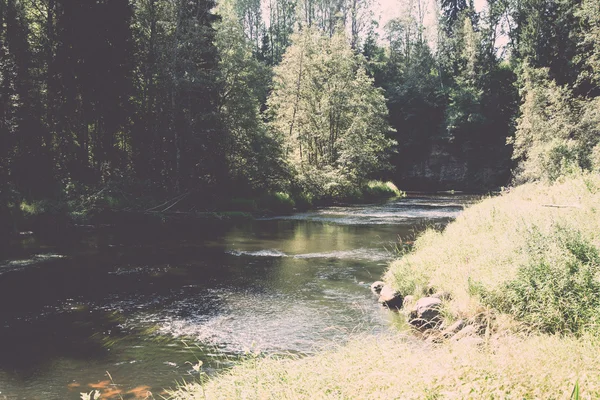 Río de montaña en verano rodeado de bosque - vintage retro —  Fotos de Stock