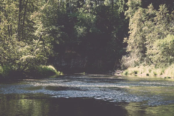 Fiume di montagna in estate circondato da boschi vintage retrò — Foto Stock