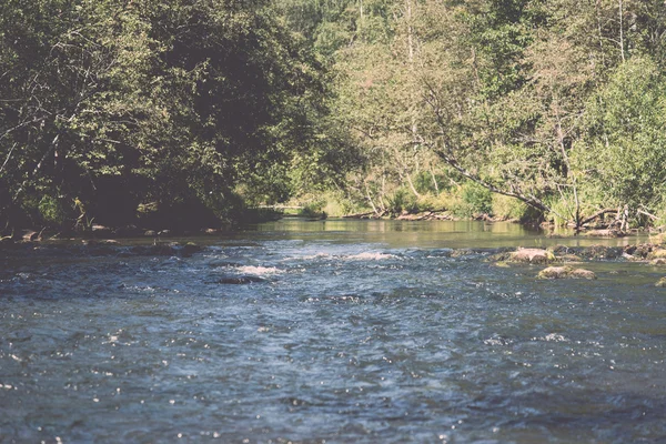 Rio de montanha no verão cercado por floresta - vintage retro — Fotografia de Stock